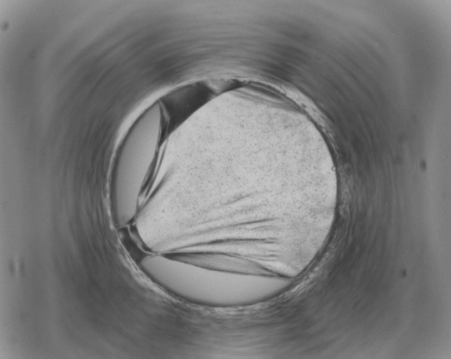 X0000078290904200611251440