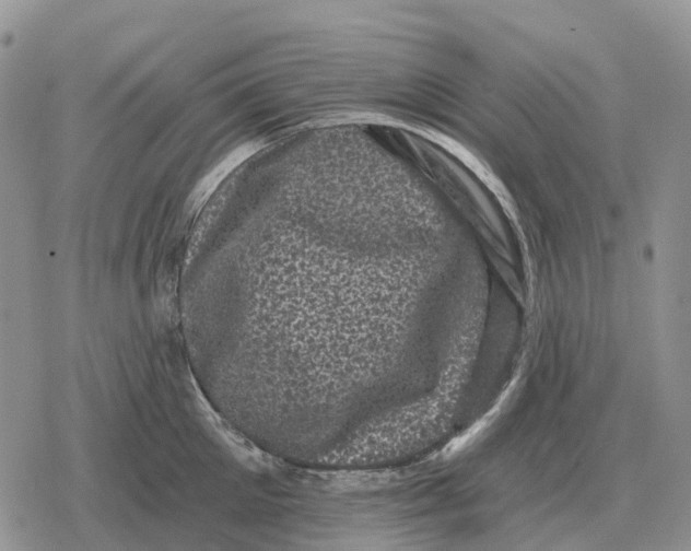 X0000078290905200611251440