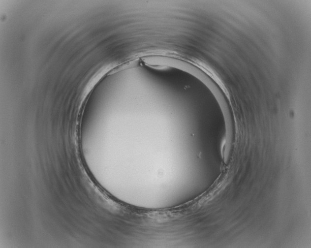 X0000078290906200611251440