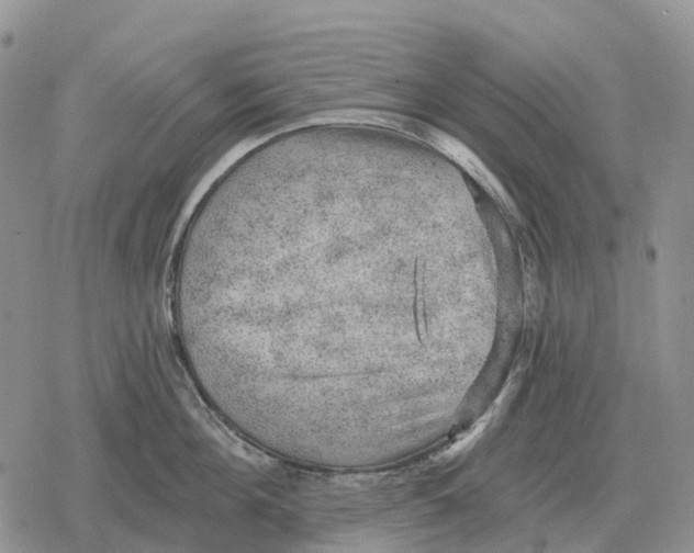 X0000078290908200611251440