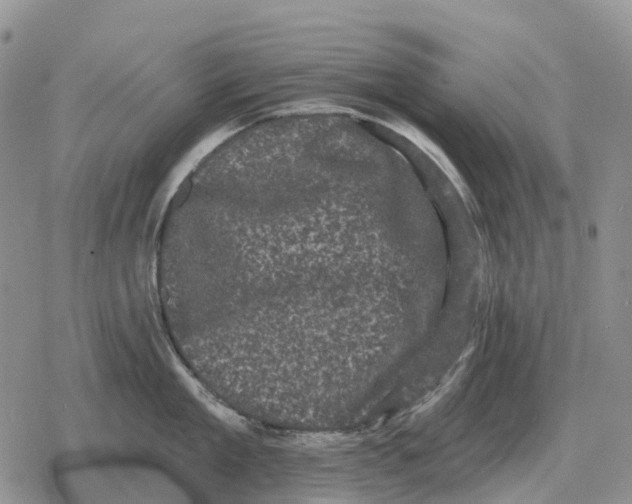 X0000078290909200611251440