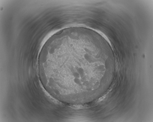 X0000078290911200611251440