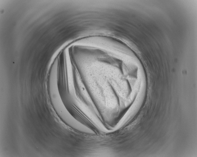 X0000078290912200611251440