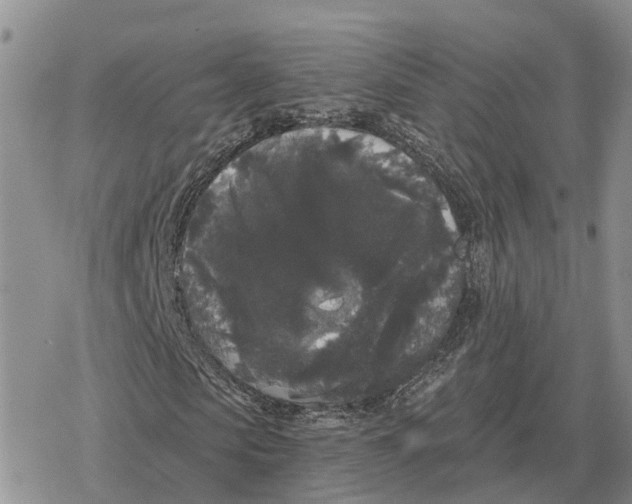 X0000078290913200611251439