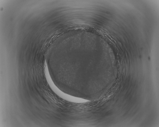 X0000078290916200611251439