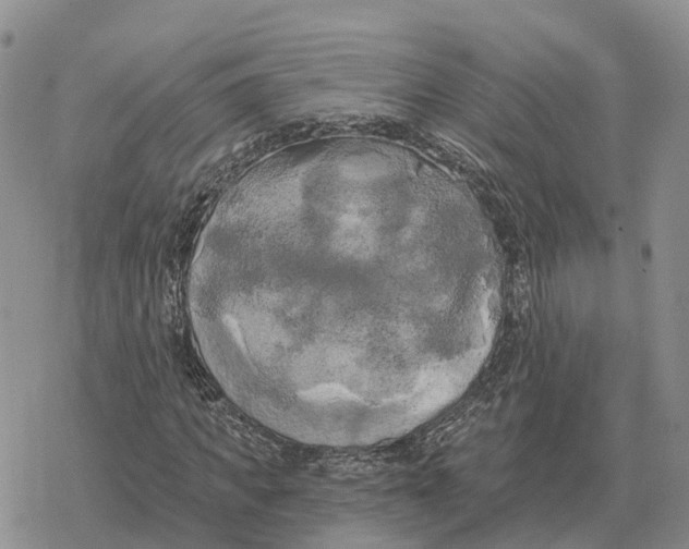 X0000078290917200611251439