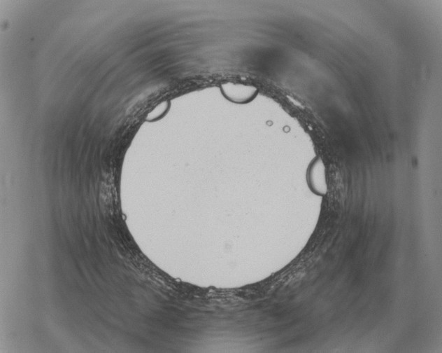 X0000078290918200611251439