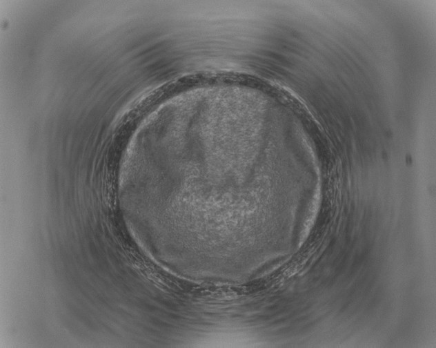 X0000078290919200611251439