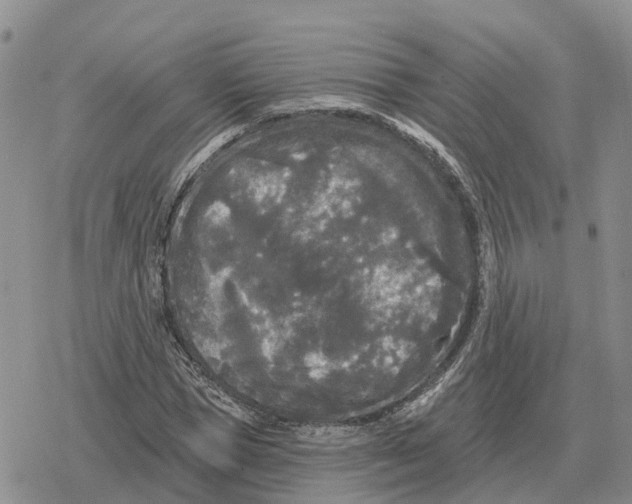 X0000078290921200611251439