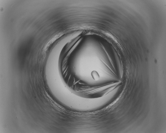 X0000078290922200611251439