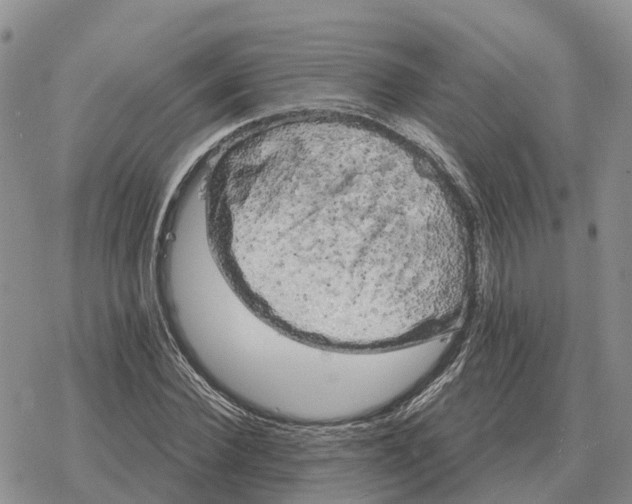 X0000078290924200611251439