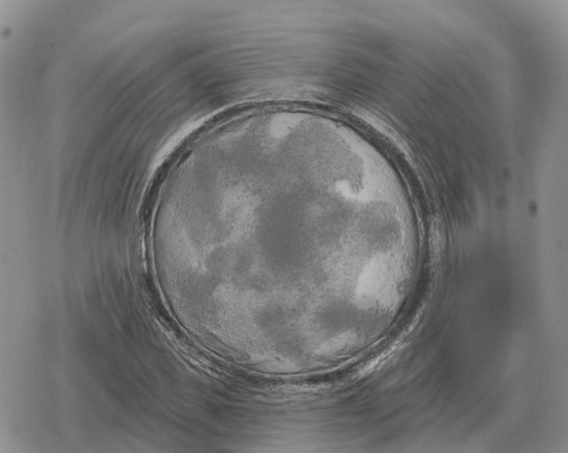 X0000078290925200611251439