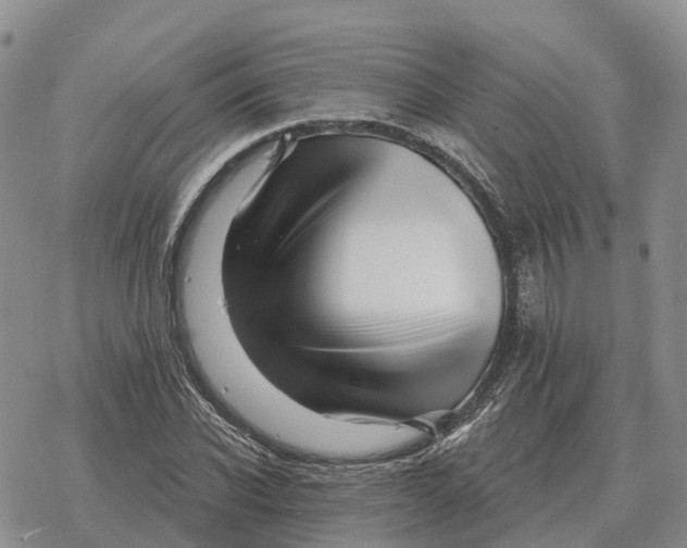 X0000078290926200611251439