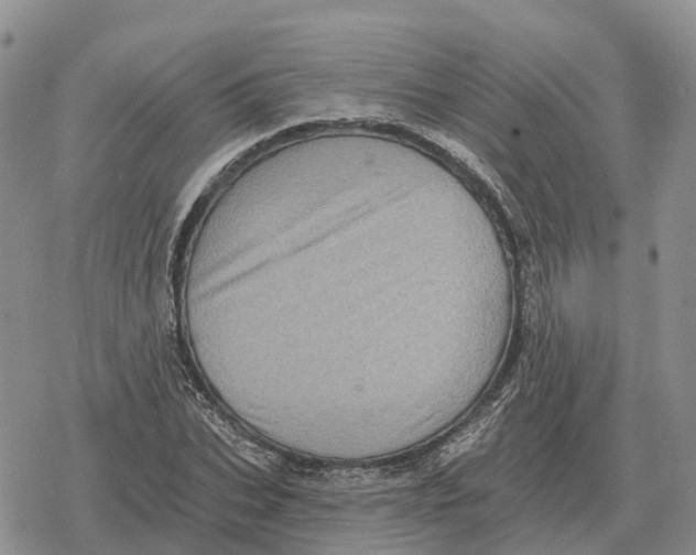 X0000078290927200611251439