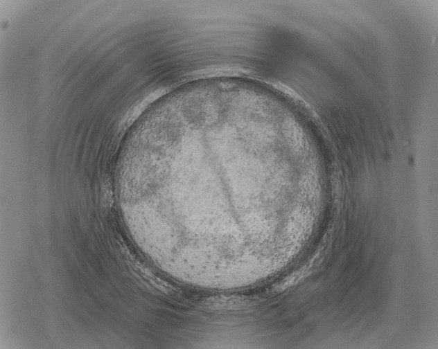 X0000078290929200611251439