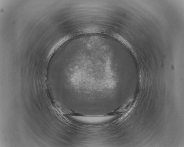 X0000078290930200611251439