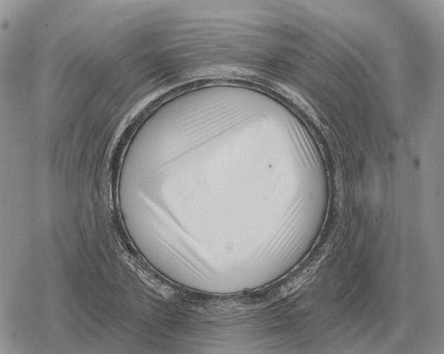 X0000078290931200611251439