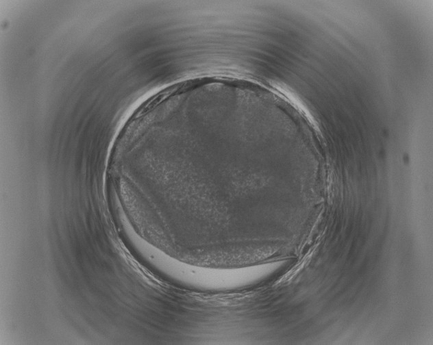 X0000078290932200611251439