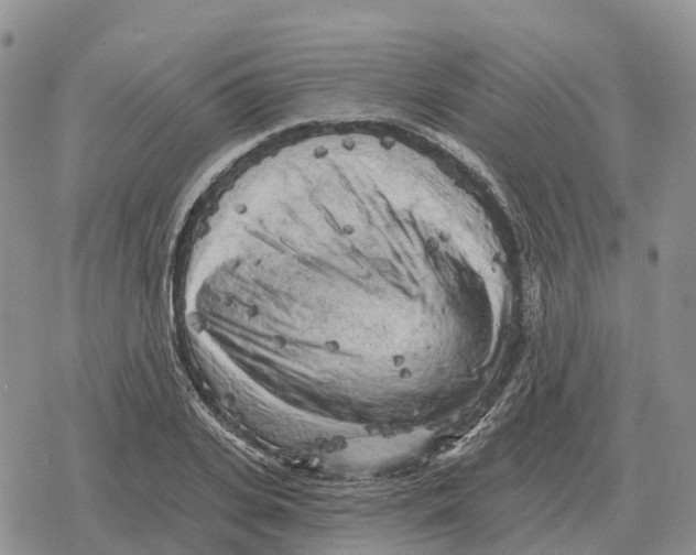 X0000078290935200611251439