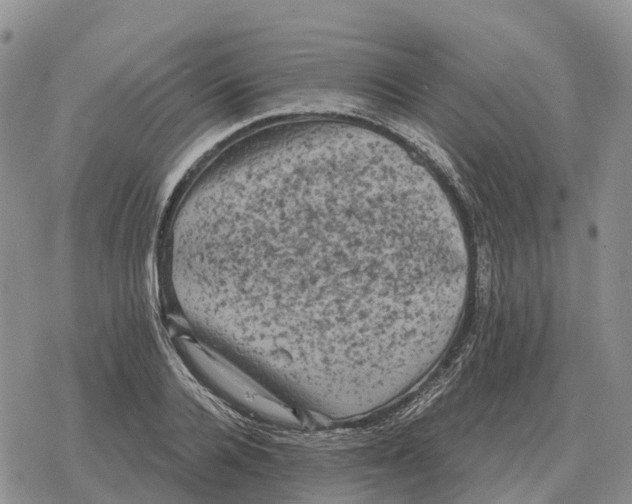 X0000078290936200611251439