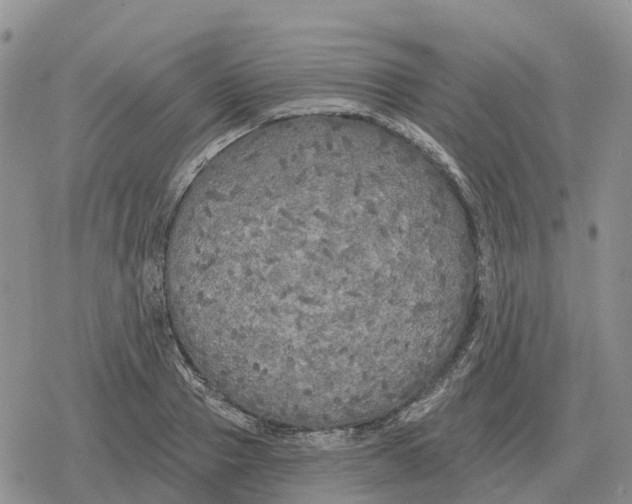 X0000078290937200611251439