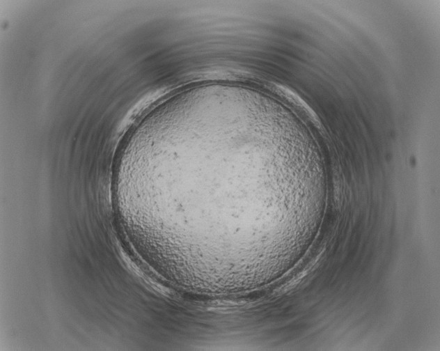 X0000078290938200611251439