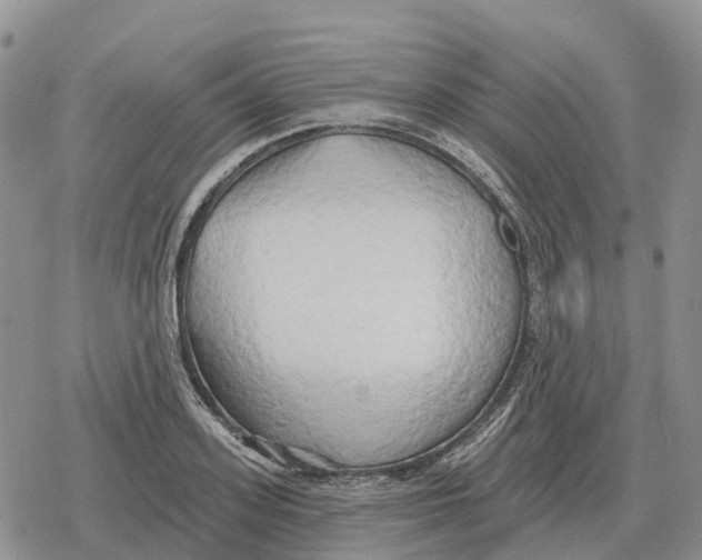 X0000078290939200611251439