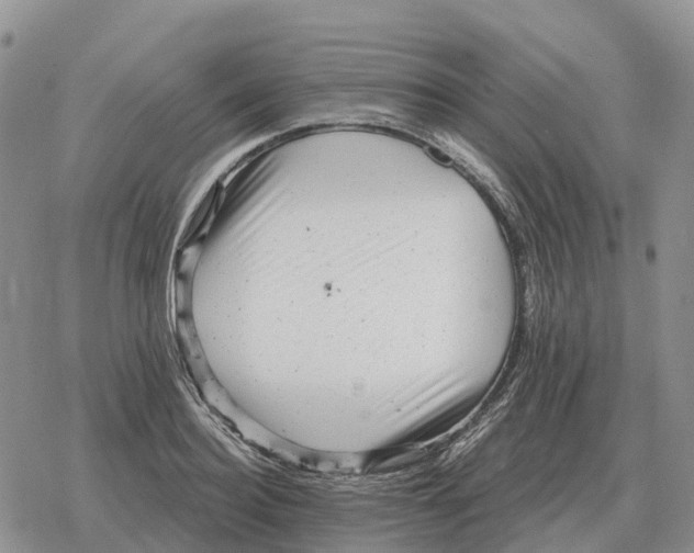 X0000078290940200611251439