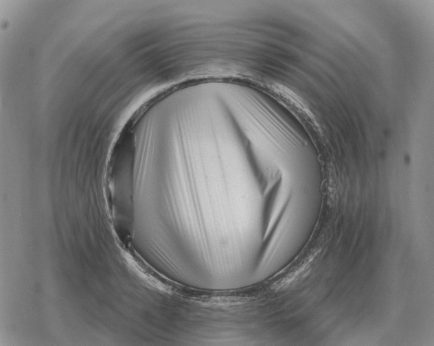 X0000078290942200611251440