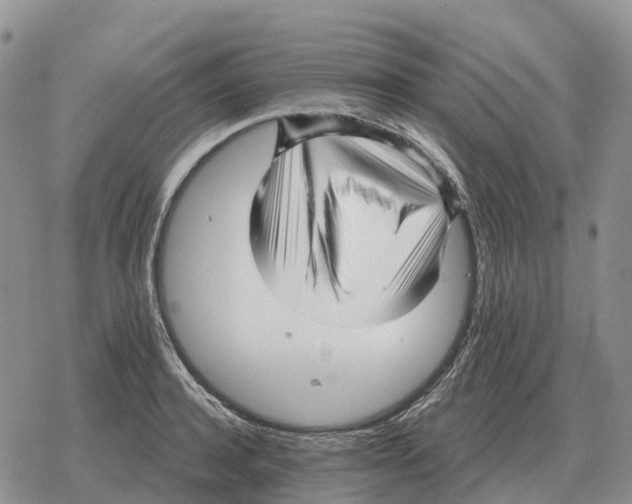 X0000078290944200611251440