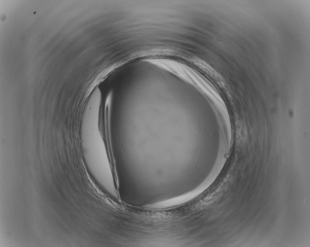 X0000078290945200611251440