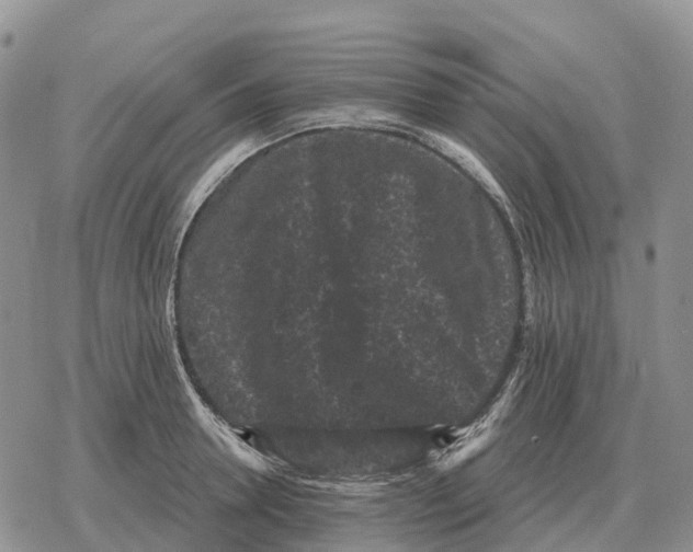 X0000078290946200611251440