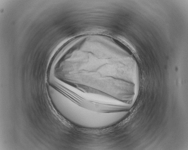 X0000078290948200611251440