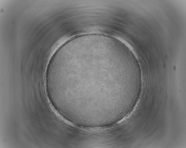 X0000078290949200611251440