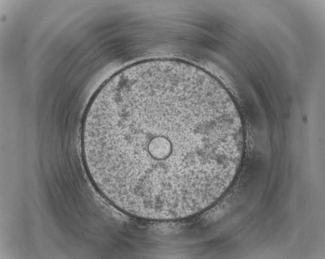 X0000078290950200611251440