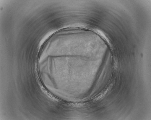 X0000078290952200611251440