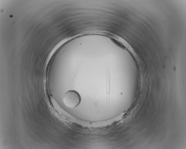 X0000078290955200611251440