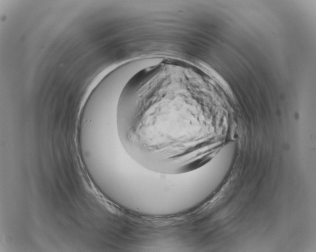 X0000078290956200611251440