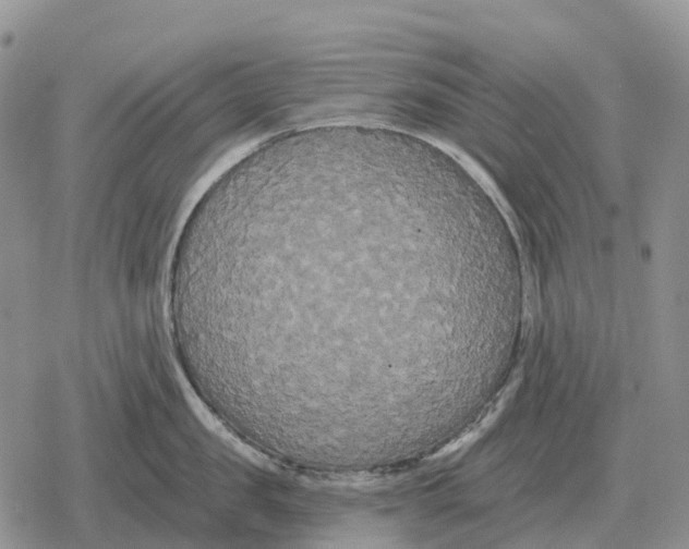 X0000078290957200611251440