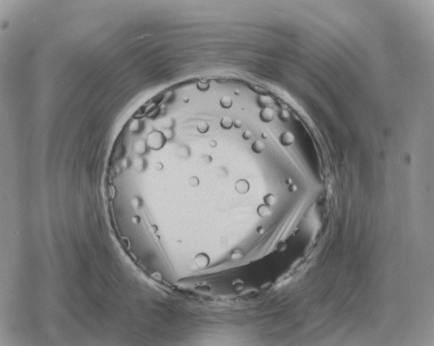 X0000078290959200611251440