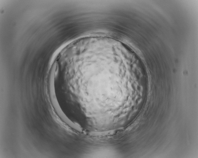 X0000078290960200611251440