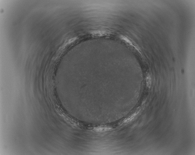 X0000078290961200611251439