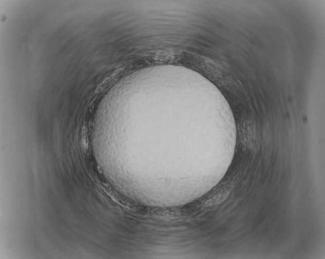 X0000078290962200611251439