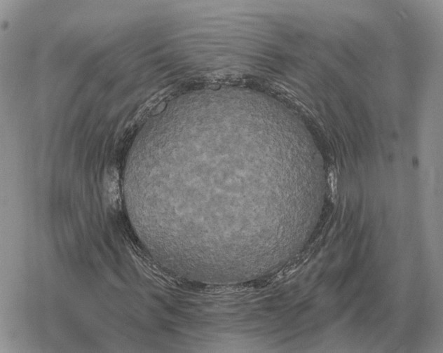 X0000078290963200611251439