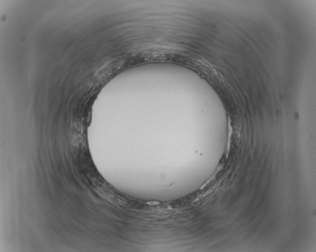 X0000078290964200611251439