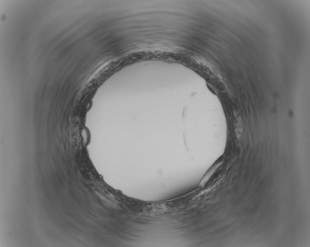 X0000078290968200611251439