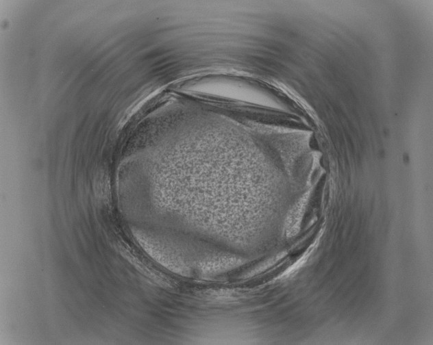 X0000078290969200611251439