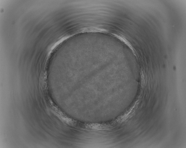 X0000078290971200611251439