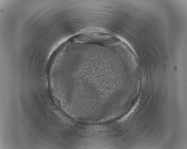 X0000078290973200611251439