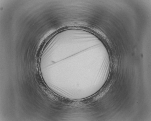 X0000078290974200611251439